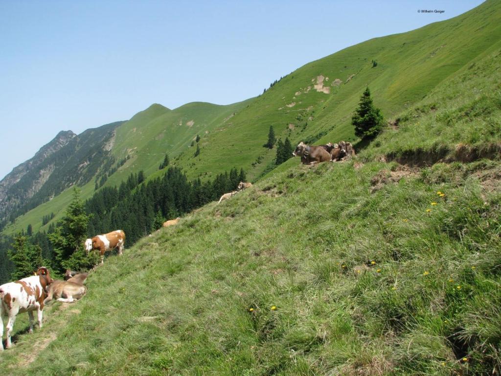 Mountain Hostel Oberstdorf Luaran gambar